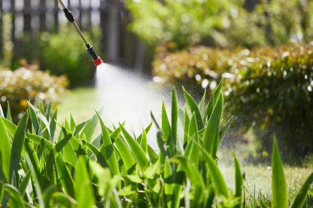 24/7 Emergency Fumigation Services experts in Lorain, OH
